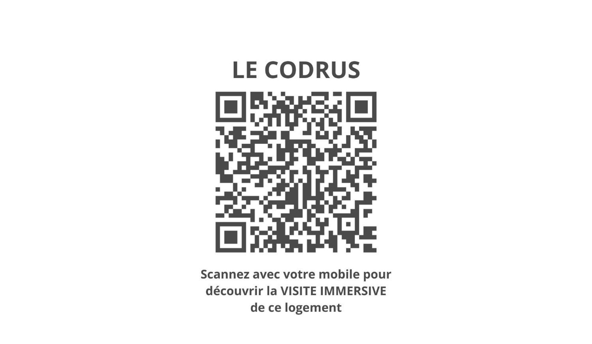 Le Codrus - Charmant Appartement Dans L'Hyper Centre Toulousain Toulouse Dış mekan fotoğraf